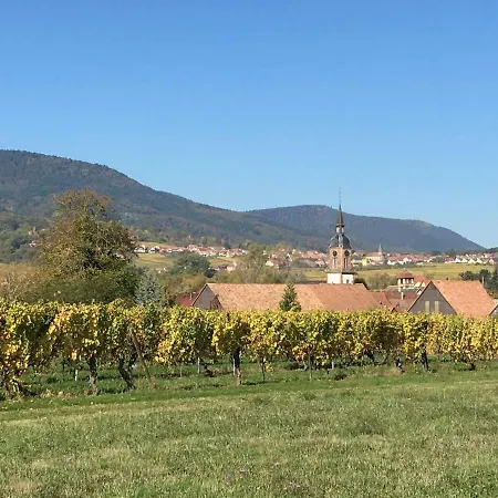 Votre Location Aux Pieds Des Vosges Apartamento *