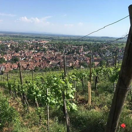 Votre Location Aux Pieds Des Vosges Apartamento